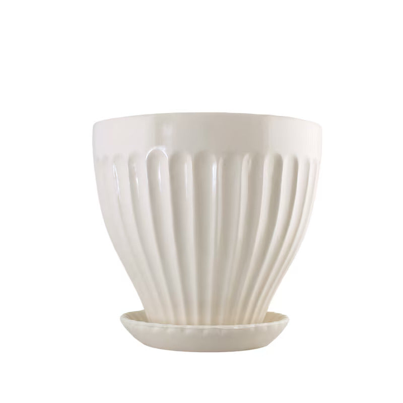 Pot - blanc créme