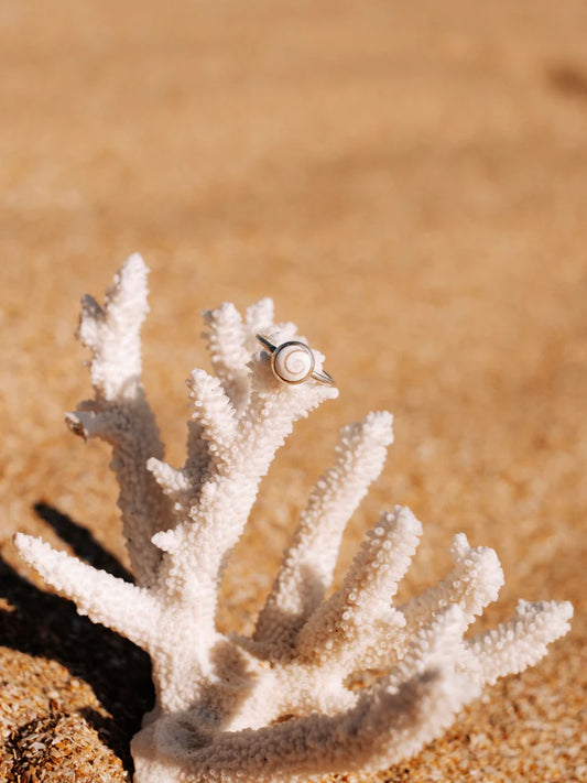 Bague petite Cauri