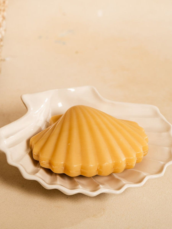 Coffret savon coquille st Jacques