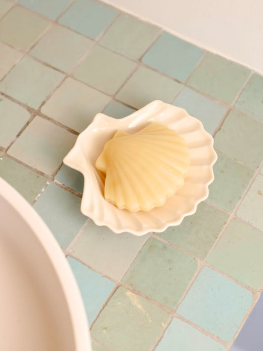 Coffret savon coquille st Jacques