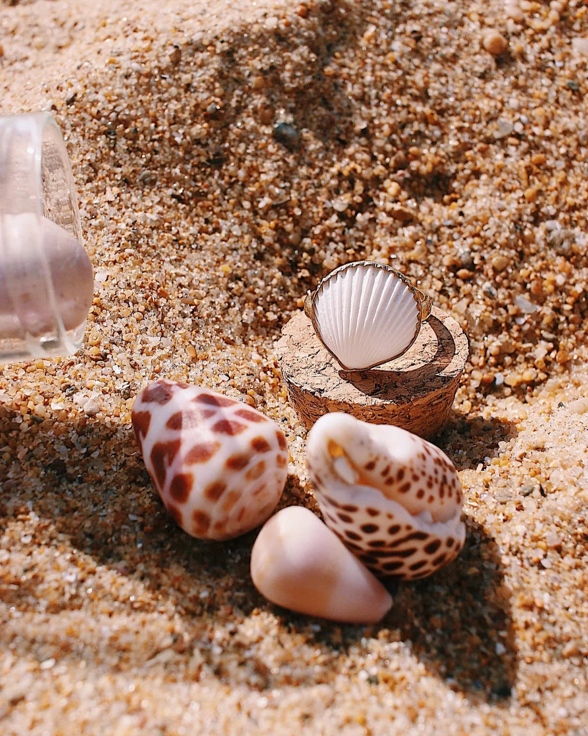 bague coquillage coque