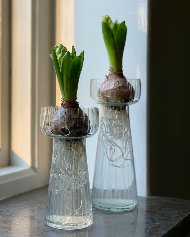 Vases