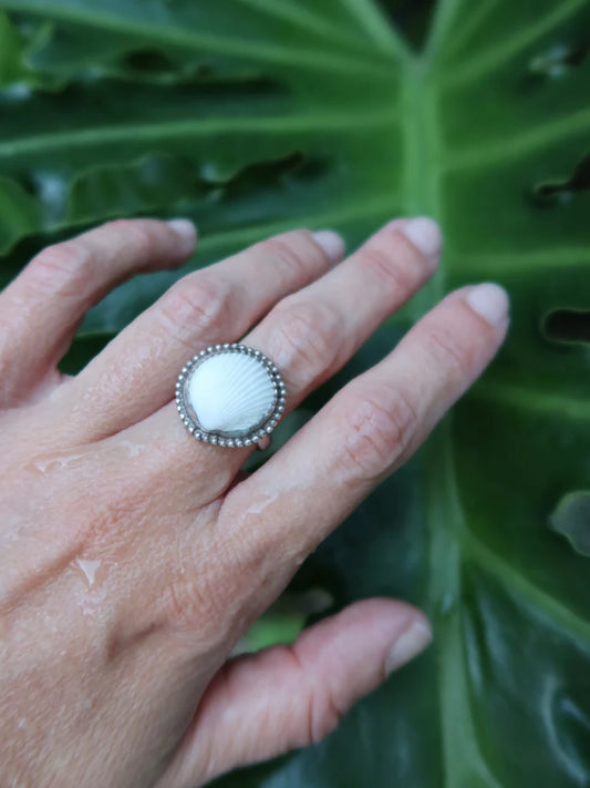 Bague coquillage - Coque