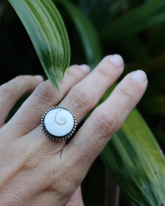 bague coquillage shiva