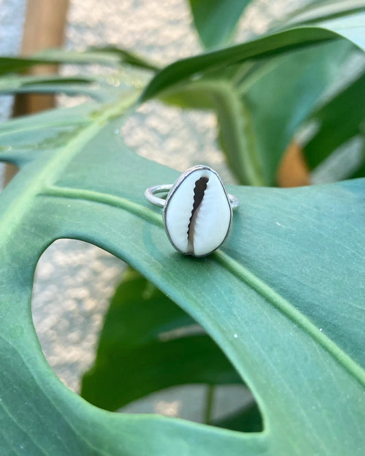 bague coquillage cauri
