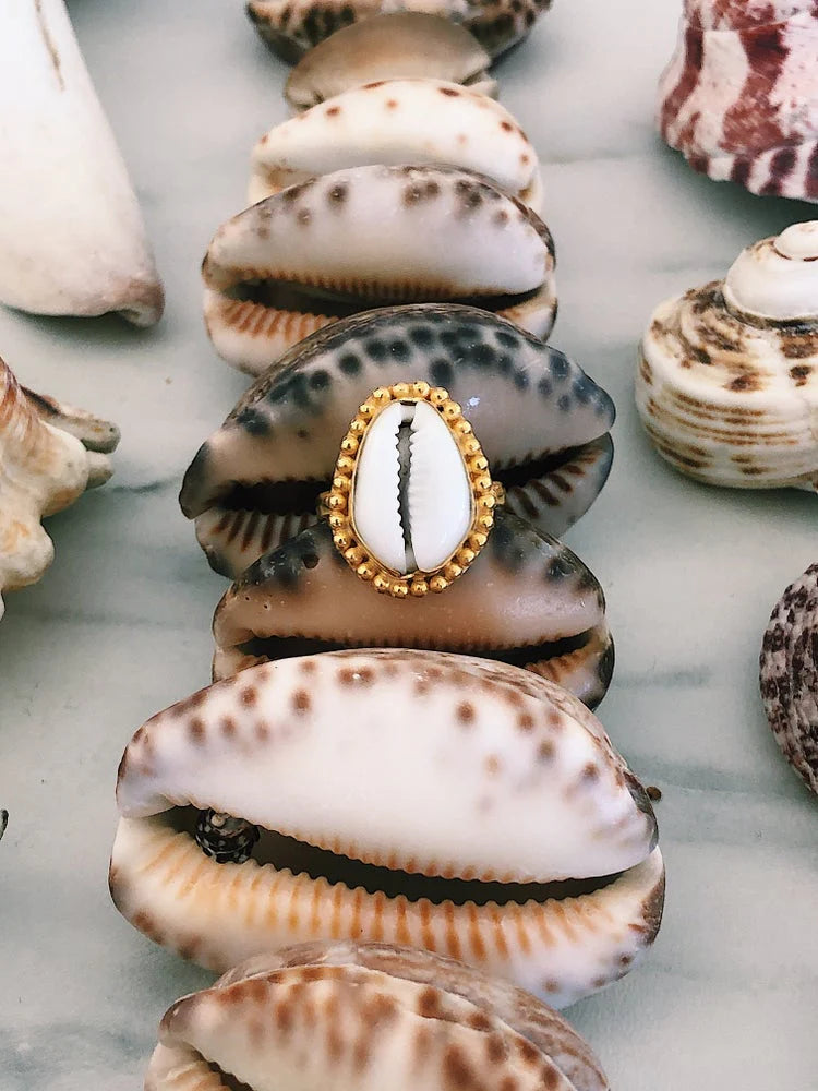 bague coquillage cauri
