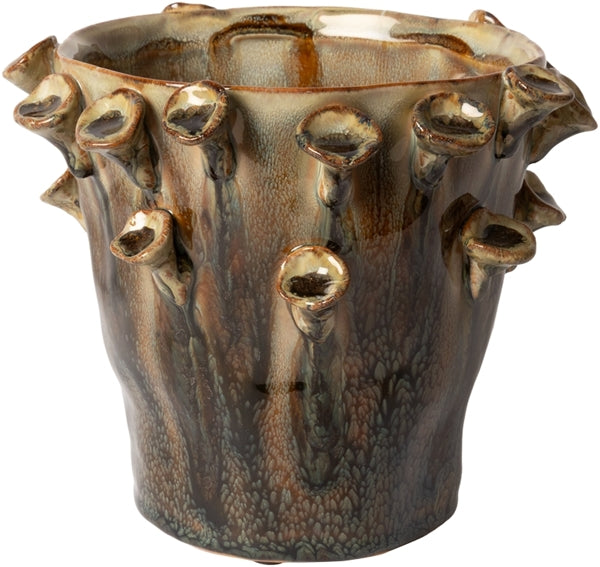 Pot de fleur - Racine