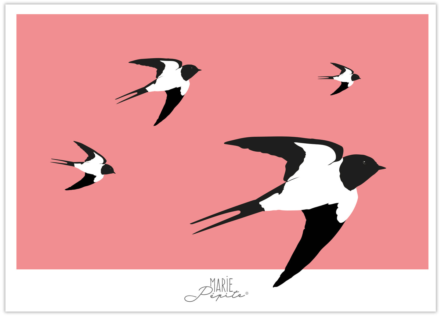 Carte postale - Hirondelles