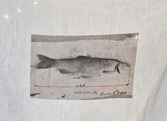 Torchon - Poisson