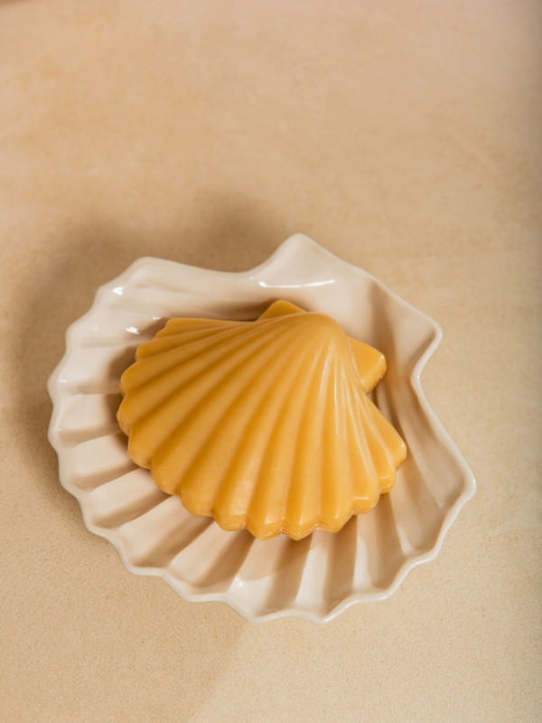 Coffret savon coquille st Jacques