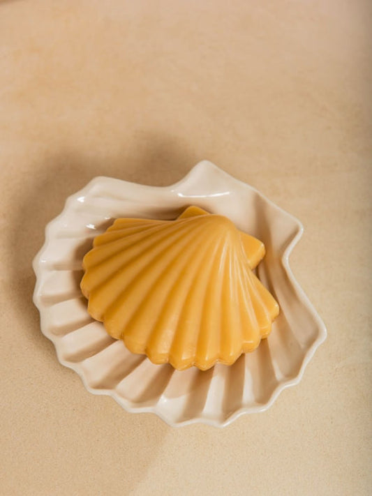 Coffret savon coquille st Jacques