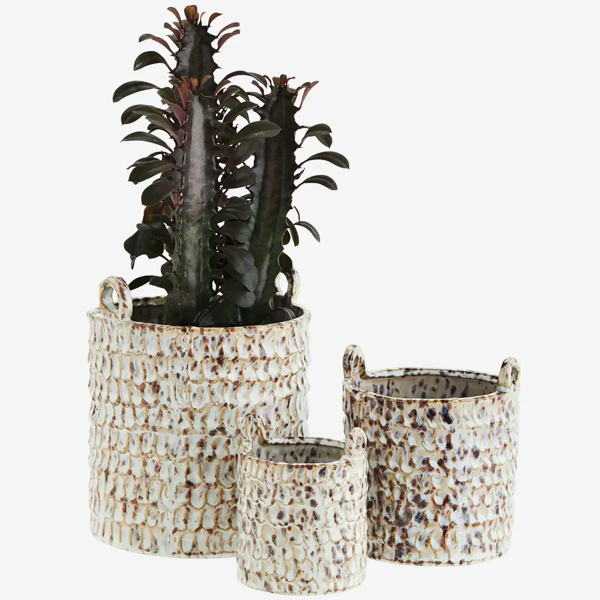 Pot de fleurs en céramique