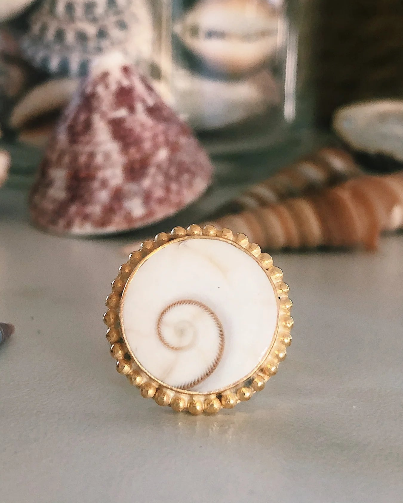 bague coquillage shiva