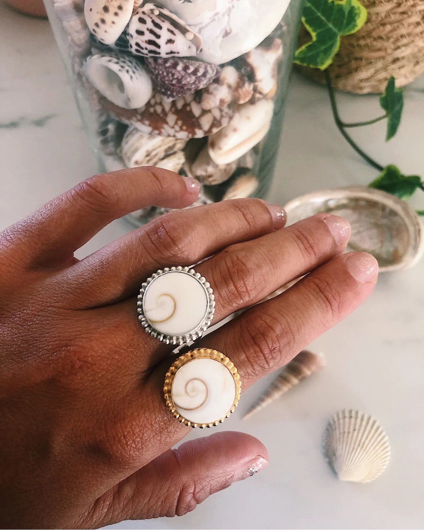 bague coquillage shiva